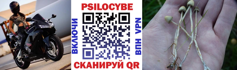 Галлюциногенные грибы Cubensis  это клад  Гороховец  где купить наркотик 